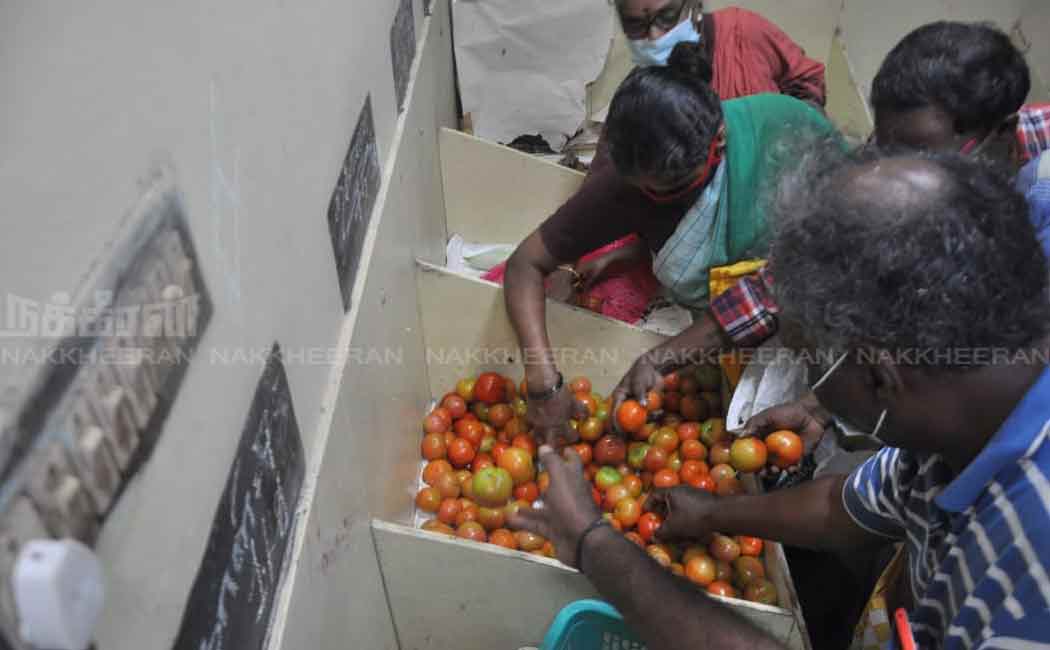 public to buy tomatoes at farm green stores