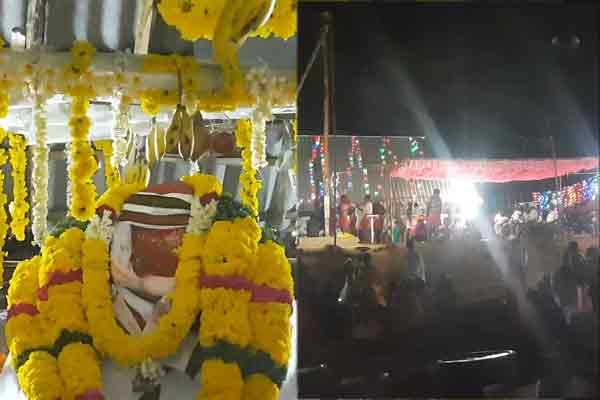 vellore anaikattu festival after twenty years ago ox given permission
