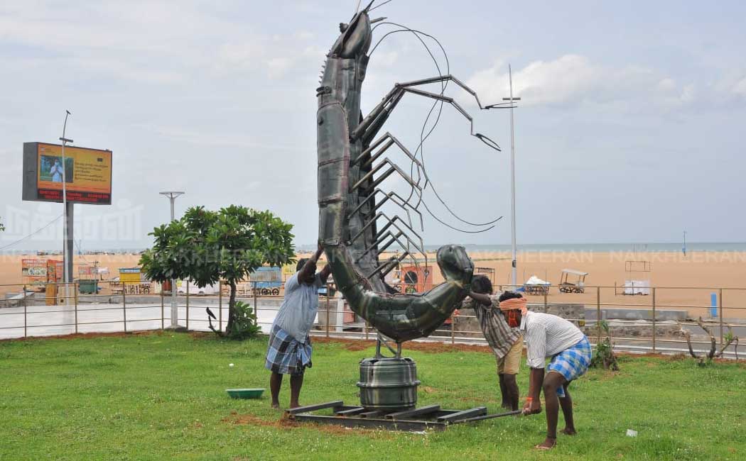 Chennai Corporation beautifies the beach meadow