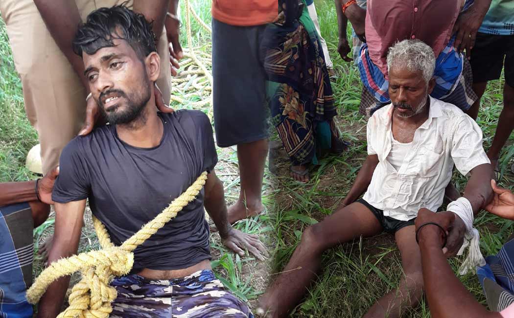 Two people on a jumped into a nearby well when a cow came in front of them