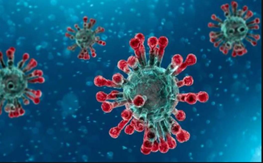 India corona virus updates - April11