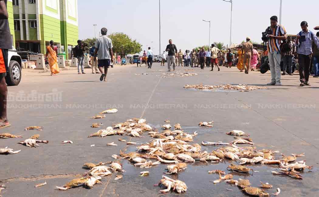 fishermen against removal encroachments chennai marina beach nearest