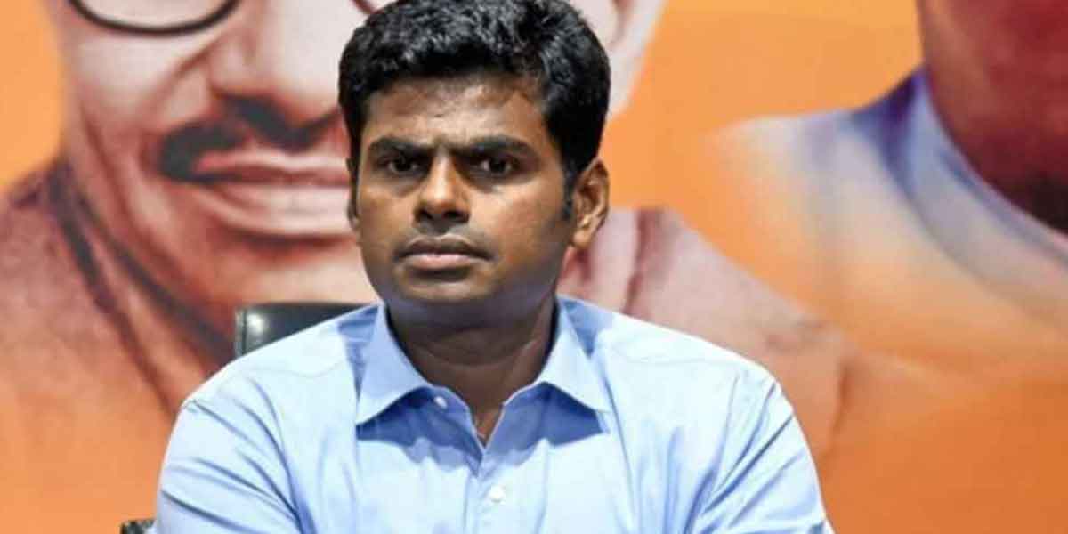 'I will contest in any constituency' - BJP Annamalai interview!