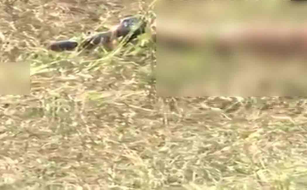 telangana encounter photos