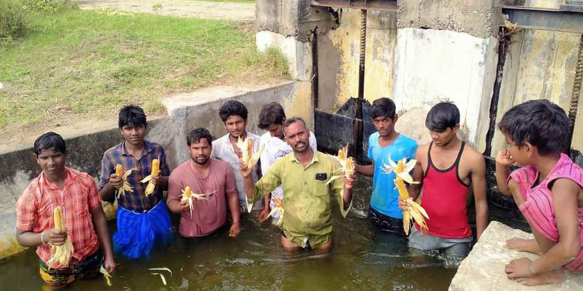 Farmers struggle to get down the drain because they can't take the produce out!