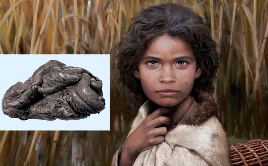 face of a woman who lived 6,000 years ago recreated by dna found in chewing gum
