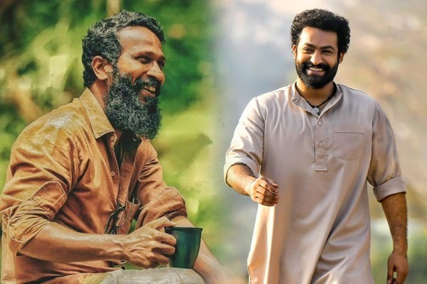 junior ntr request to vetrimaaran