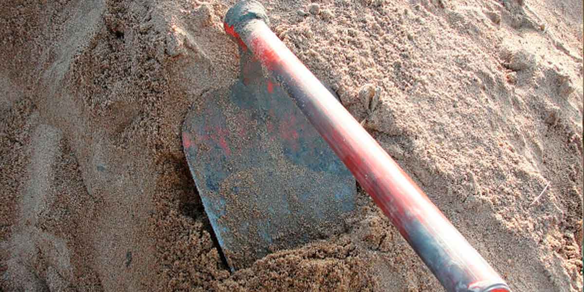 Mother-in-law who attacked her son-in-law in a spade fight where she worked for 100 days
