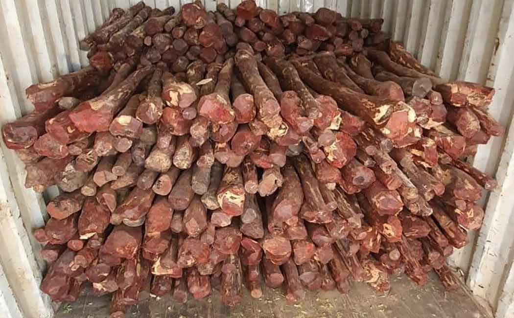 wood to be smuggled to Dubai ... Intelligence officers who acted quickly