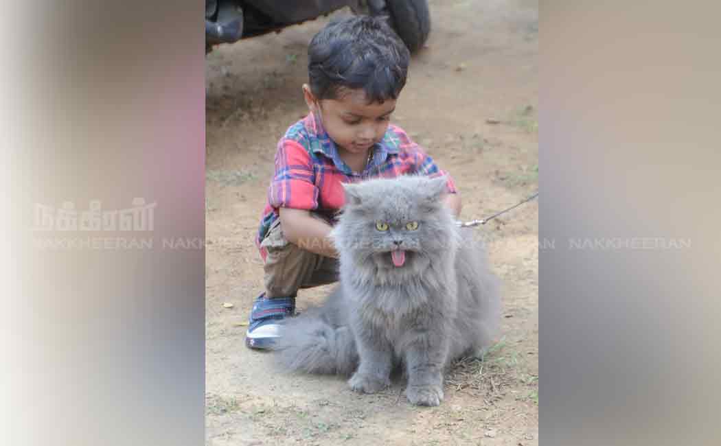 pet and dog show in chennai nandanam ymca ground