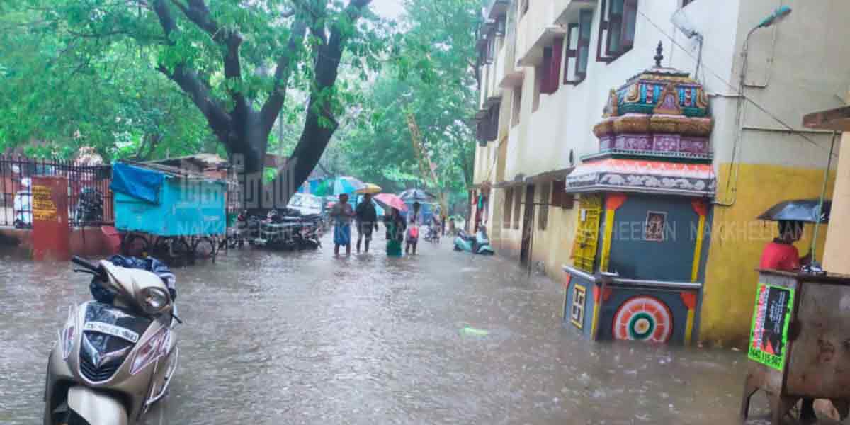 rain