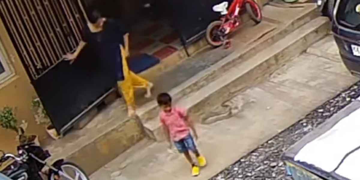 cobra... mother who risked her life to save her son... viral video!