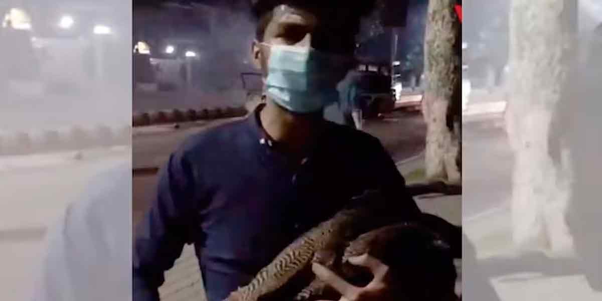 Imran supporter who stole peacock amid riots
