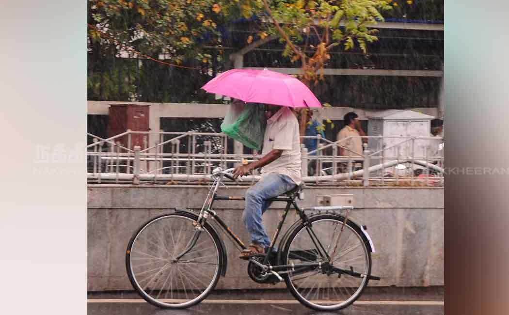 sudden rain chennai people happy