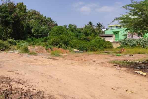 Assets of ilavarisi and sudhakar has been taken by government
