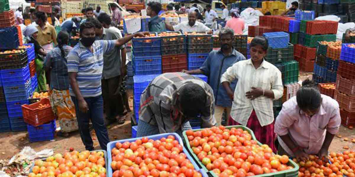 Tomato prices skyrocket to 100 rupees ...