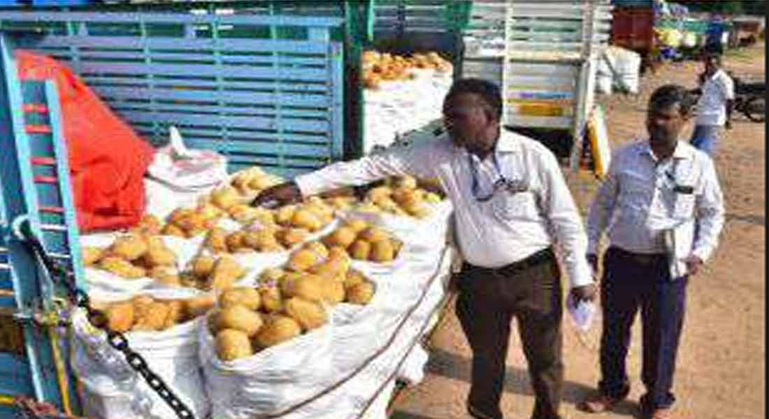 Mixed Jaggery production; Sugarcane Farmers Collector's Office Sudden Siege!