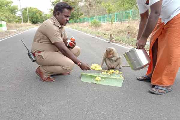 ‘Take it if you are hungry ..’ Young people feeding the hungry of the helpless ..