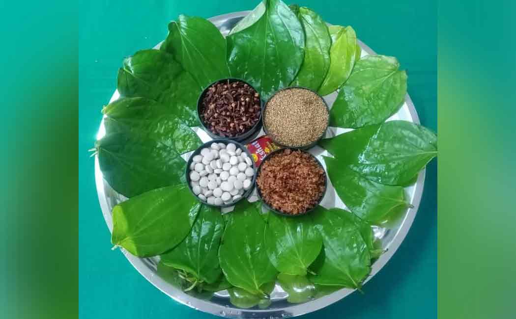 Betel leaf that can act against fungal diseases ..?