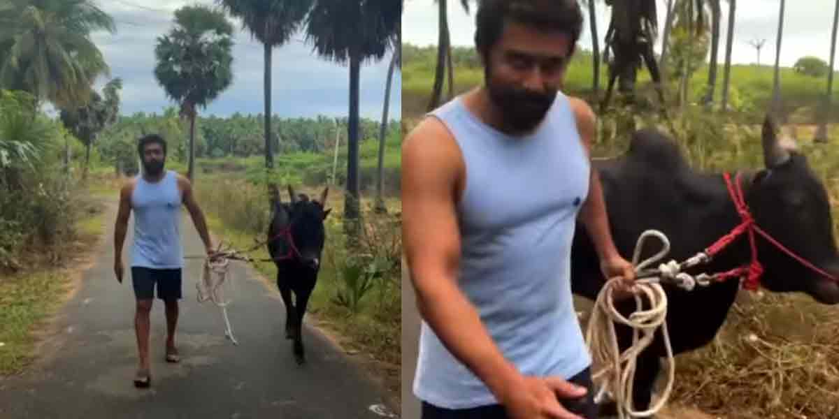 '' My Tamil ... '' -Surya with the bull ... Video goes viral!
