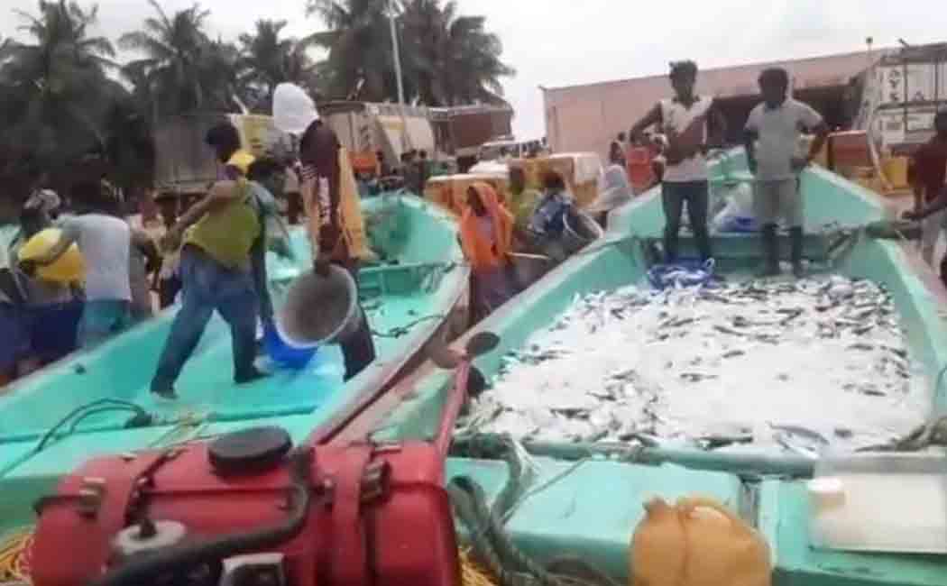 2 tonnes of fish caught using narrow mesh nets seized in Cuddalore!