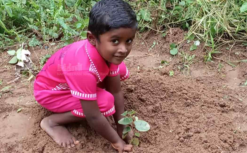 puthukottai eco friendly diwali