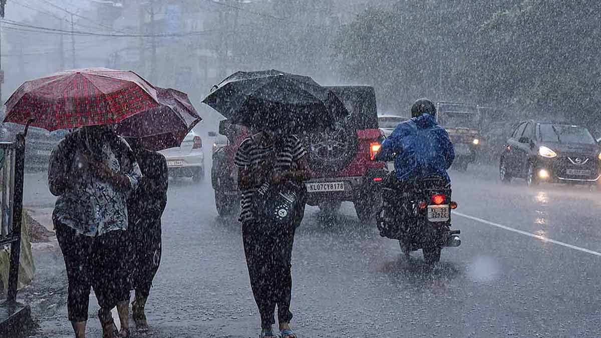 rain