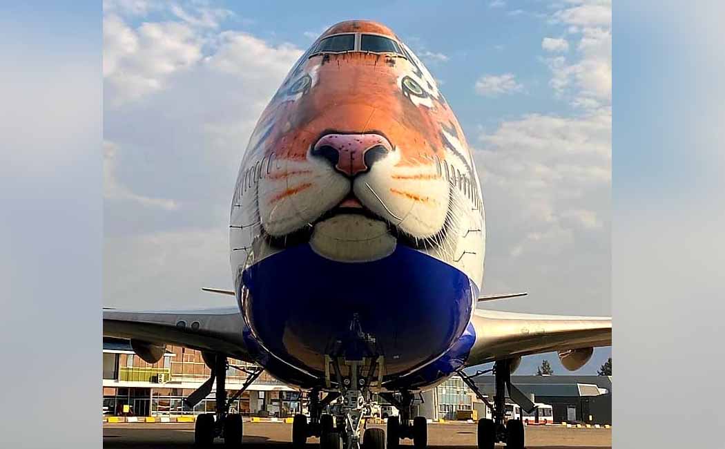 A leopard-faced plane lands in Namibia!