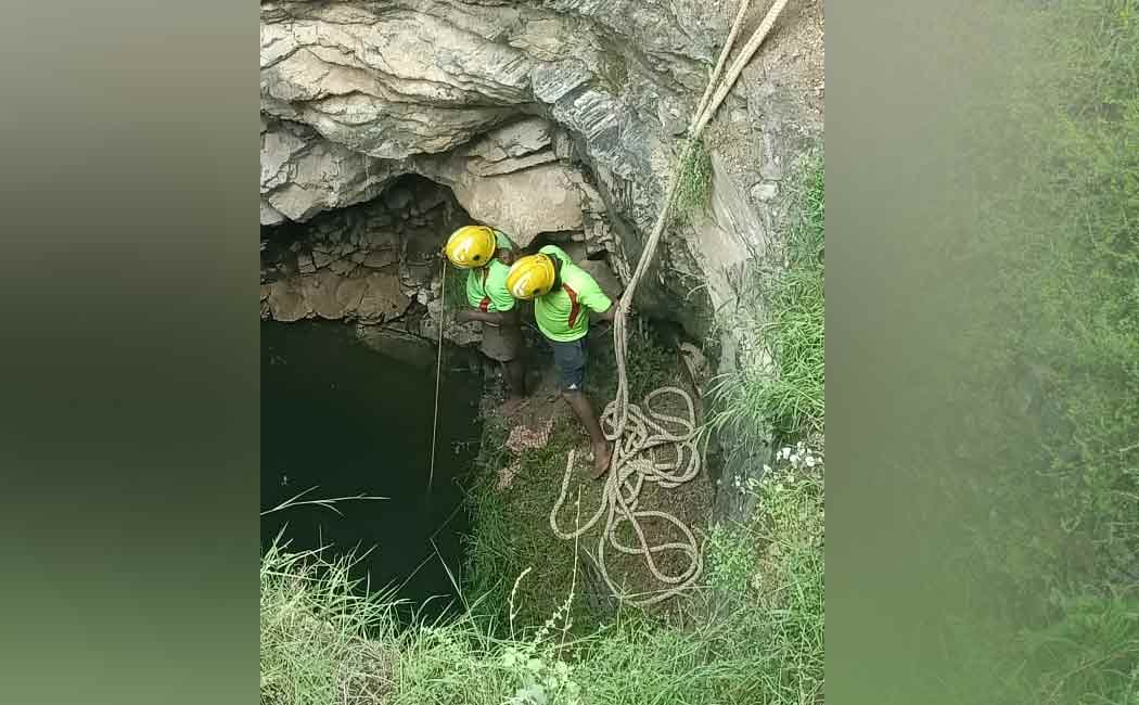 The one who passed away, when he went to retrieve the body of the goat