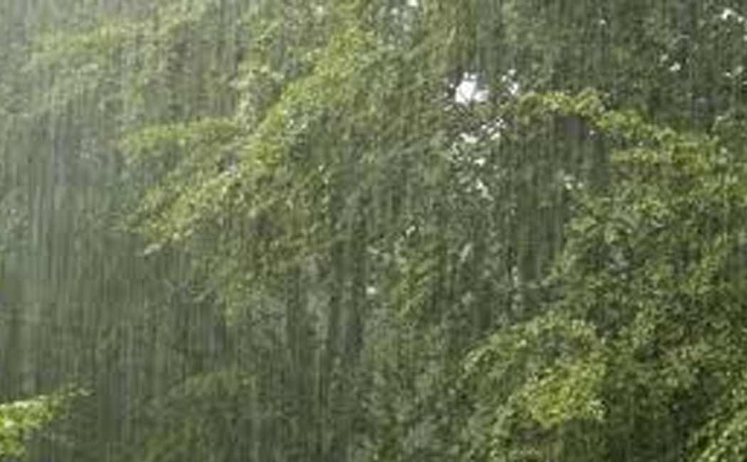 Widespread rainfall in Erode district