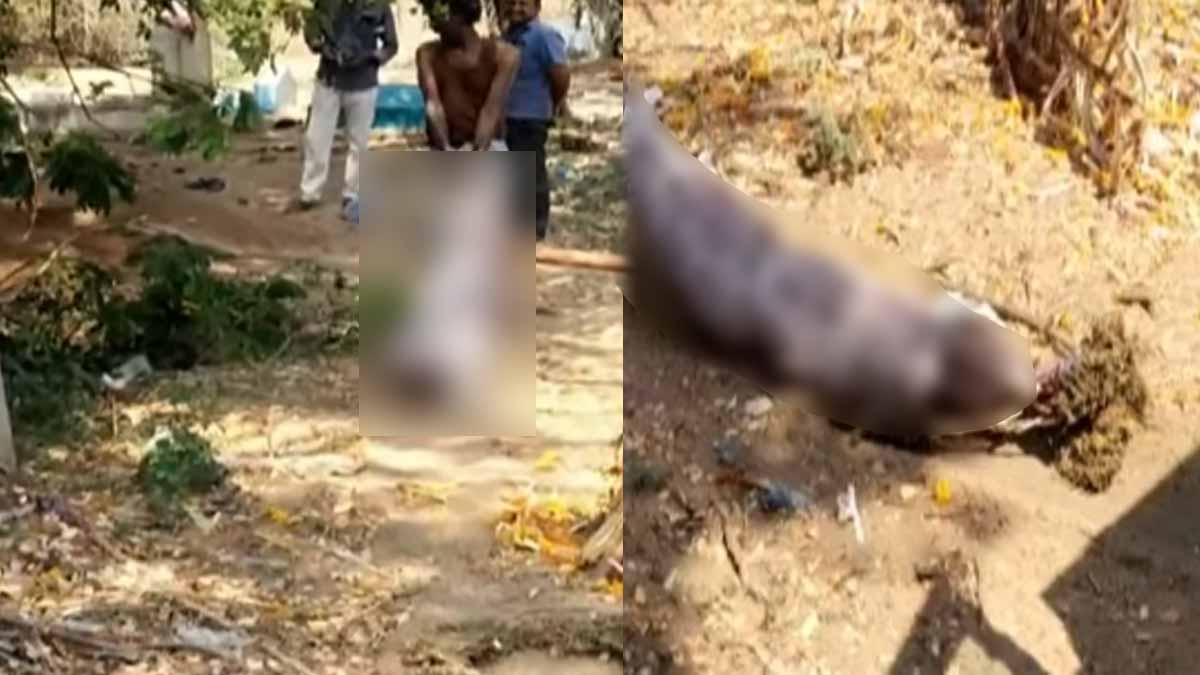 viral sad incident in kadpadi