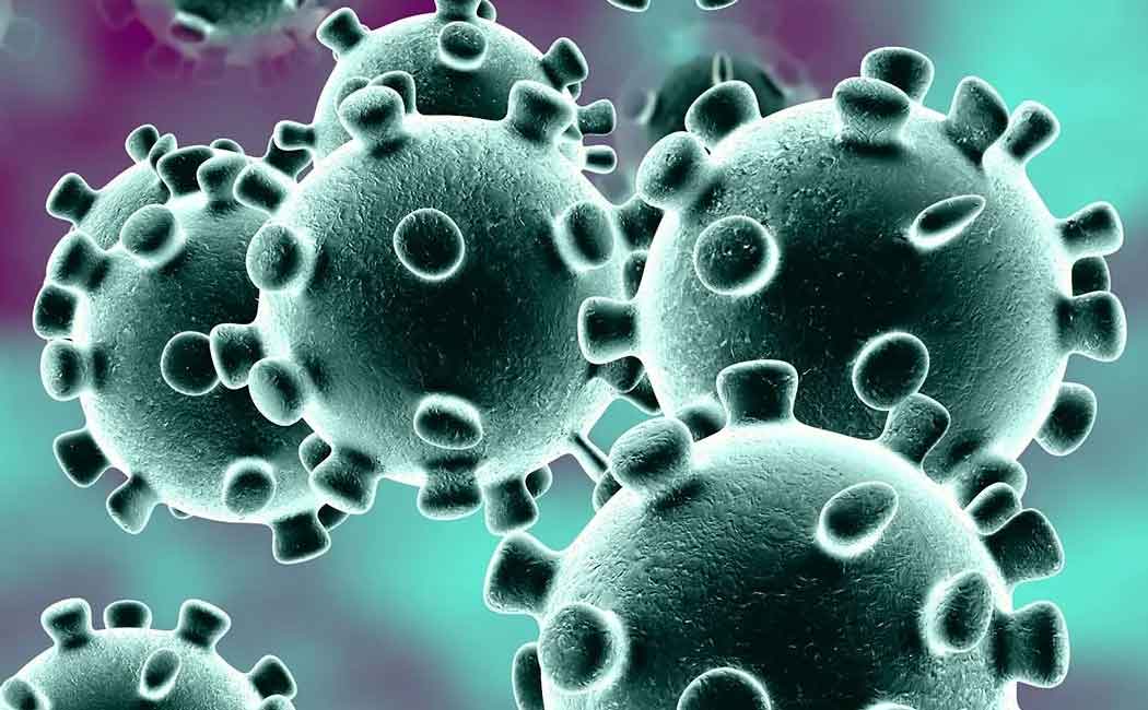 corona virus