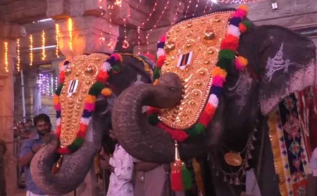 Temple elephants worshiped to the music of the Mouth Organ