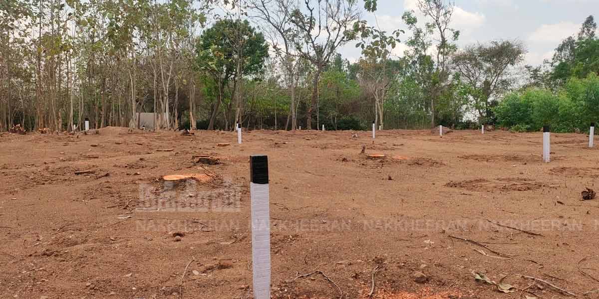 'Polpanai Kottay preparing for 2nd phase of excavation' - opportunity to be inaugurated by the Chief Minister
