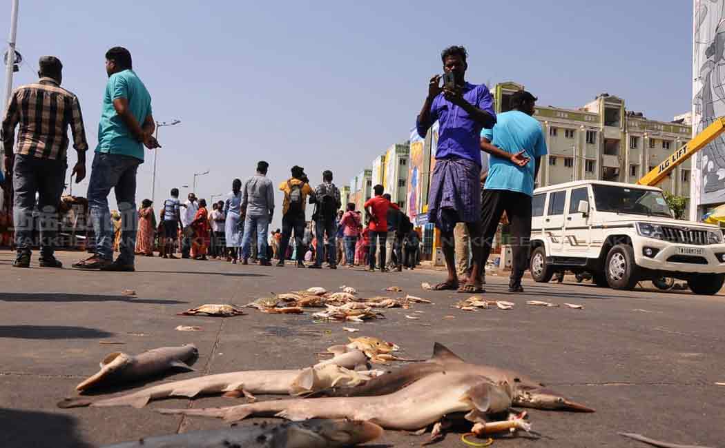 fishermen against removal encroachments chennai marina beach nearest
