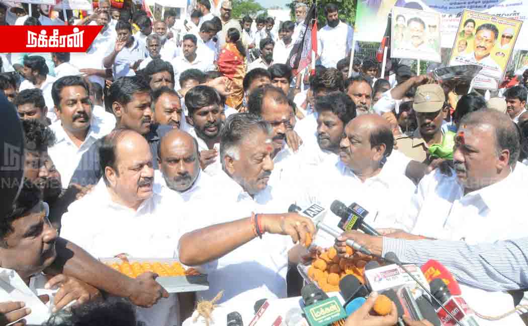 OPS Tribute to Jayalalitha Portrait