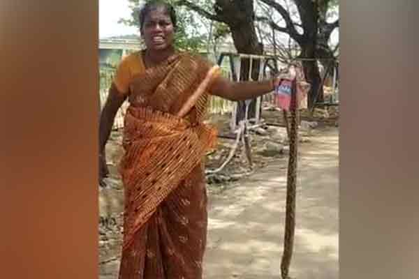 tirunelveli woman came district collector office with snake