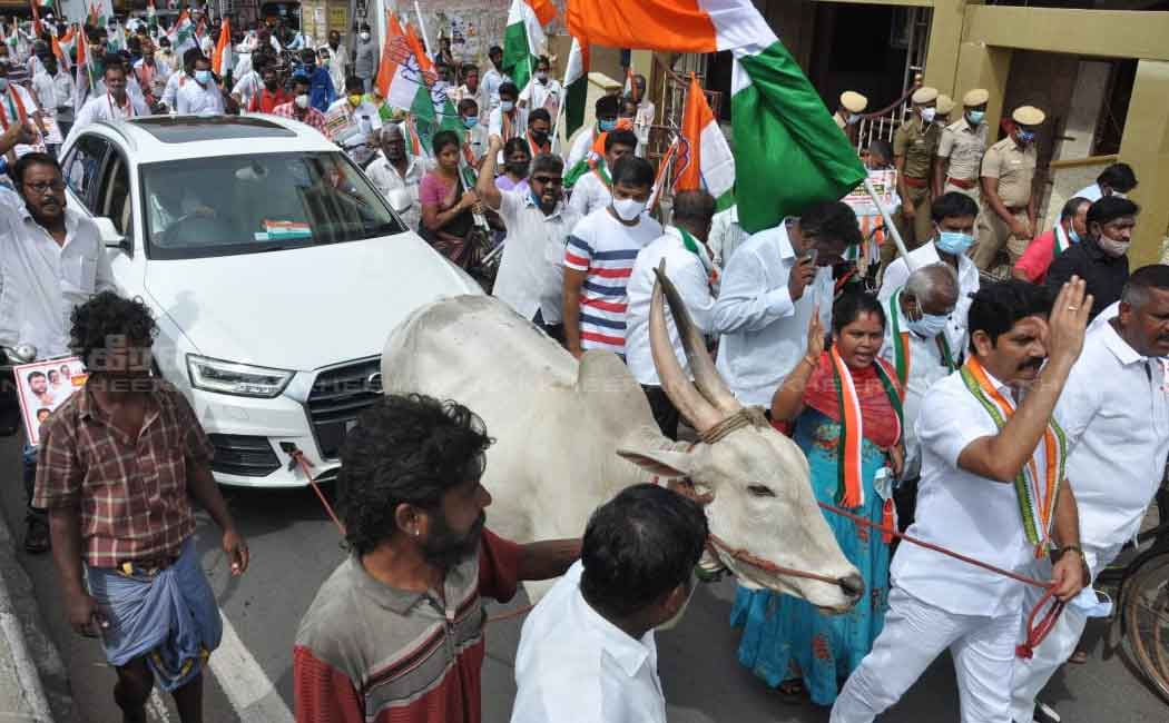 Congress party held a bicycle rally
