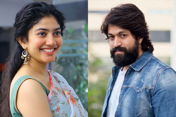 sai pallavi to act with yash next movie
