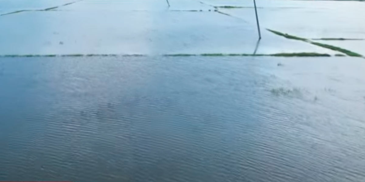 Fields not seas; Farmers in agony
