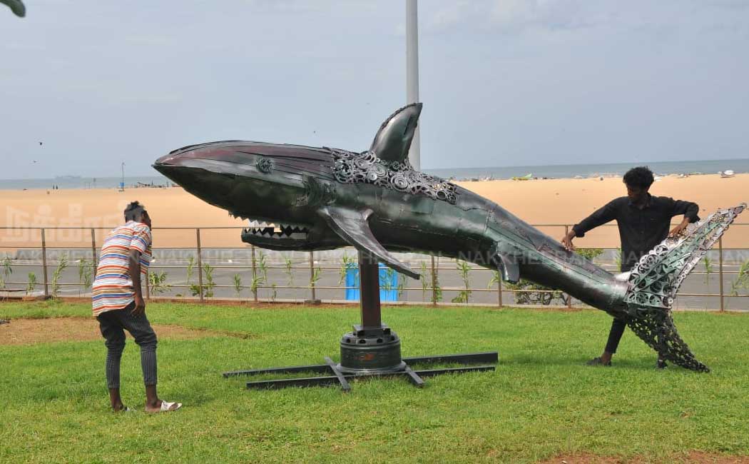 Chennai Corporation beautifies the beach meadow