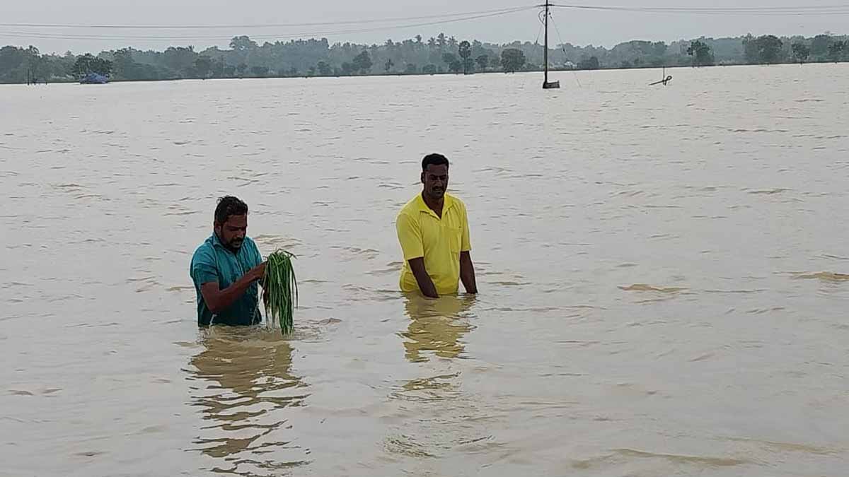'Flood due to opening of Veeranam Lake; Action to get relief' -MRK Panneerselvam confirmed
