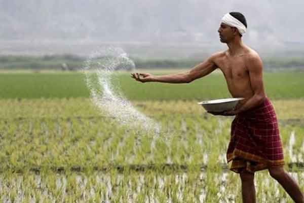 Farmers struggle in the field condemning the rise in fertilizer prices