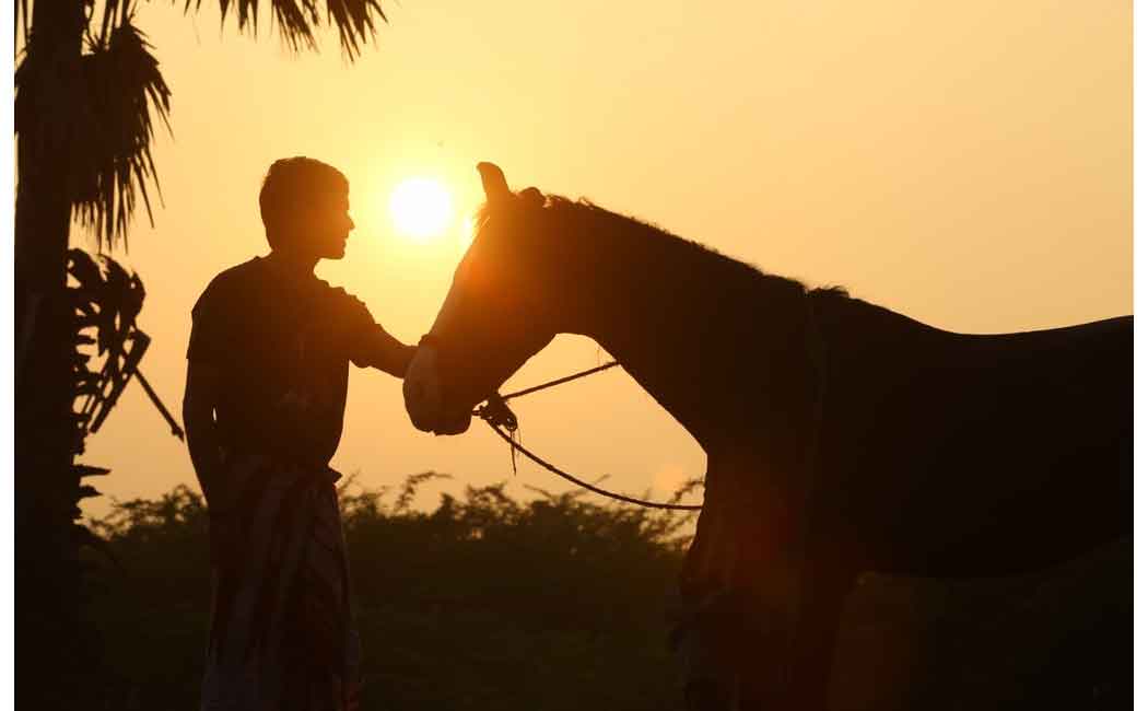dhanush