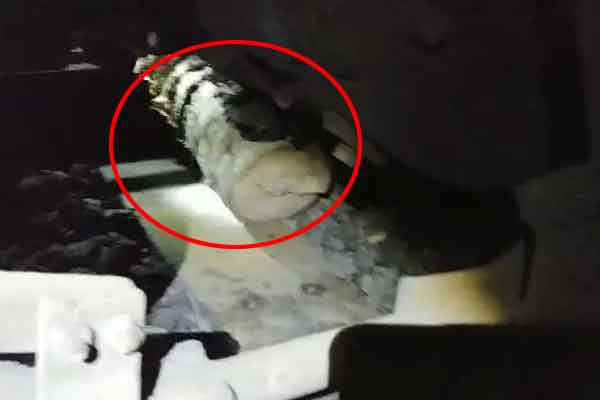 piece of wood in Avadi train track