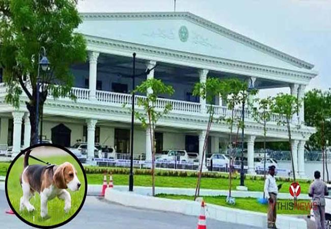 telangana cm home dog dies doctor police fir filled
