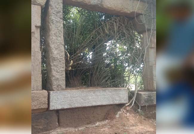 Discovery of the 750 year old Kulasekara Pandyan Inscription!