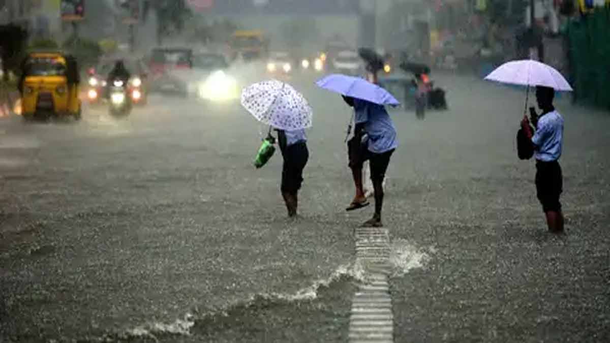 Heavy rain echoes; Holiday in which districts?; Public announcement