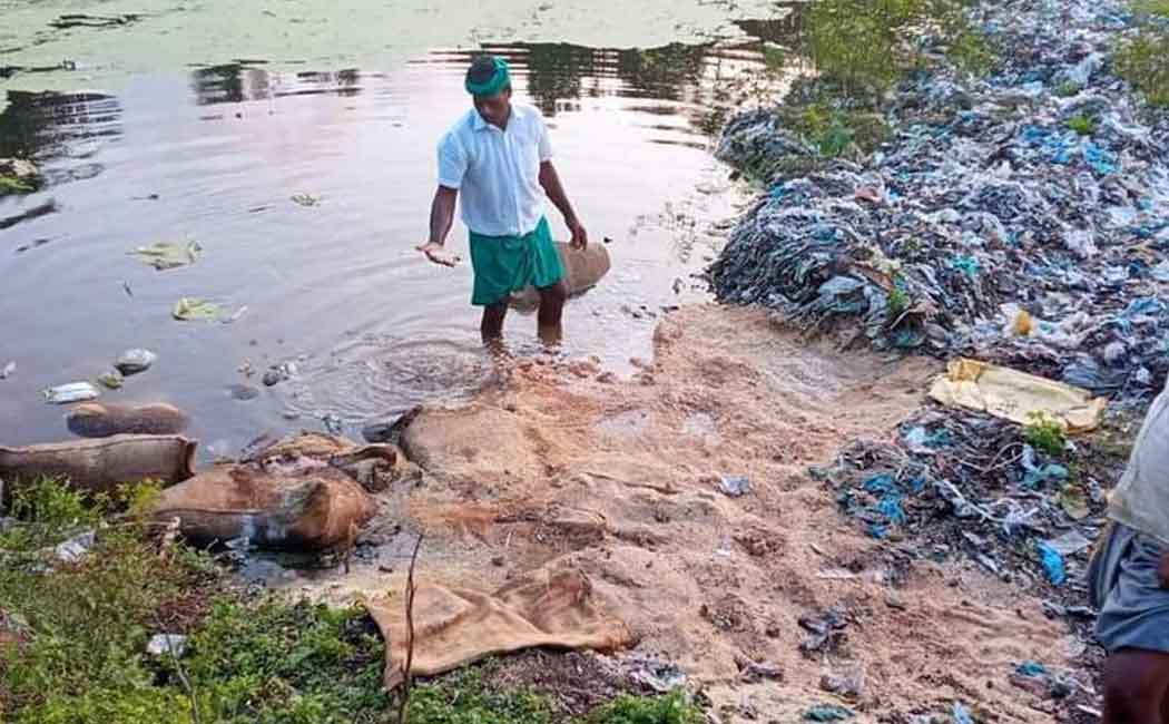 Bundle of rice dumped in the sewer pond!