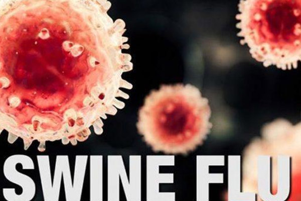 swine flu symptoms on Ex-Minsiter